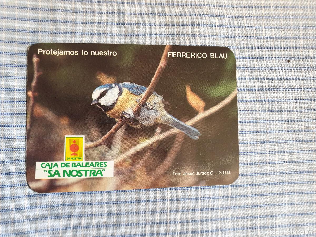 Coleccionismo Calendarios: Calendario Caja de Baleares Sa Nostra. Ferrerico Blau. A&ntilde;o 1985. Serie Aves. Estado ver imagen