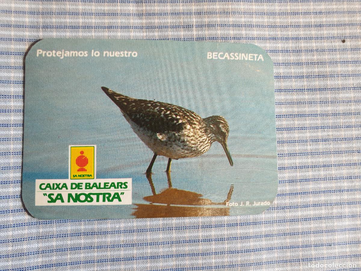 Coleccionismo Calendarios: Calendario Caja de Baleares Sa Nostra. Becassineta. A&ntilde;o 1987. Serie Aves. Estado ver imagen