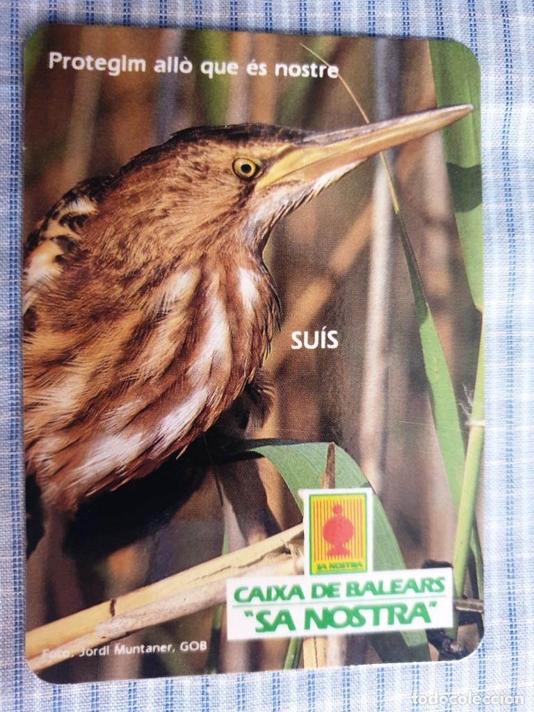 Coleccionismo Calendarios: Calendario Caja de Baleares Sa Nostra. Suis. A&ntilde;o 1989. Serie Aves. Estado ver imagen