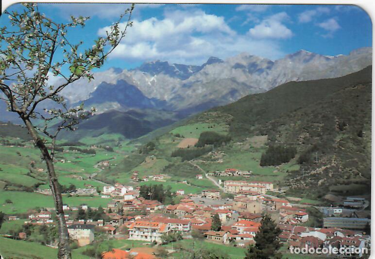 Coleccionismo Calendarios: CALENDARIO DE PUBLICIDAD - A&Ntilde;O 2000 - COOPERATIVA DEL CAMPO SAN ROM&Aacute;N DE LA LLANILLA