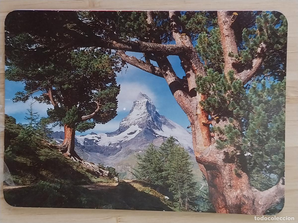 Coleccionismo Calendarios: CERVINO SUIZA CALENDARIO A&Ntilde;O 1994 PUBLI ++ YESUS PELUQUERIA ++ REF BO 5716