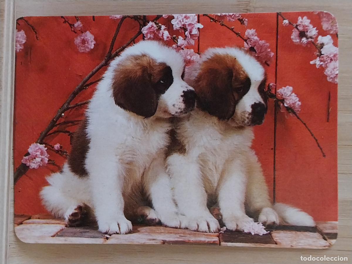 Coleccionismo Calendarios: CACHORROS SAN BERNARDO CALENDARIO A&Ntilde;O 1994 PUBLI HELADERIA VERONICA HOYO PINARES AVILA REF BO 5794