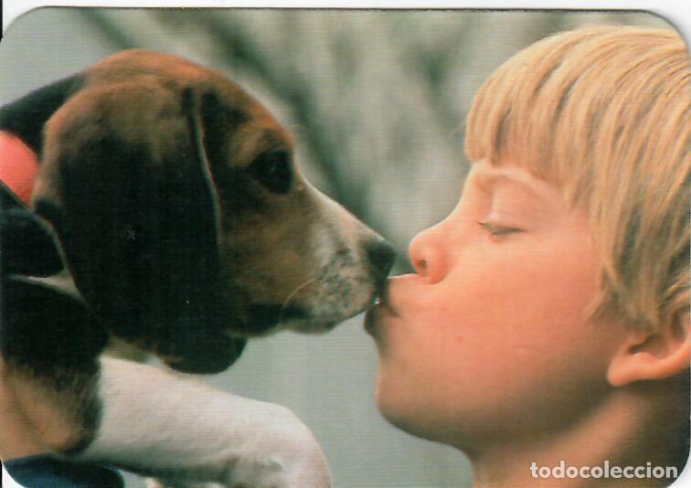 Coleccionismo Calendarios: CALENDARIO DE SERIE - A&Ntilde;O 1988 - CB. N&ordm; 66 - Publicidad de M&oacute;stoles