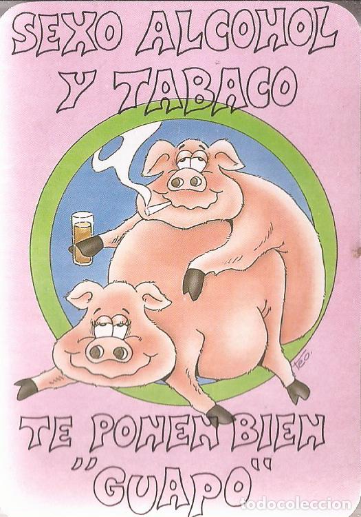 Coleccionismo Calendarios: CALENDARIO SERIE A&Ntilde;O 1993 SERIE W.C.B. N&ordm; 77