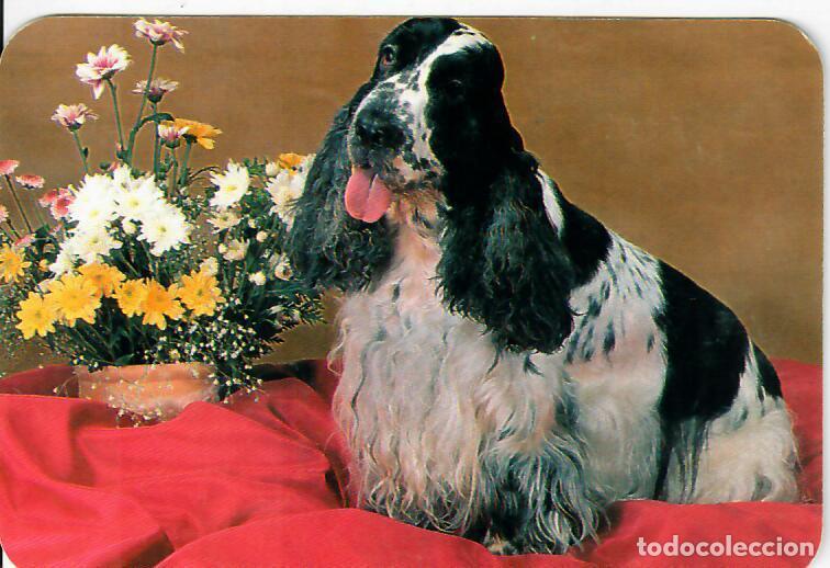 Collectionnisme Calendriers: CALENDARIO DE SERIE - A&Ntilde;O 2000 - EDIJAR