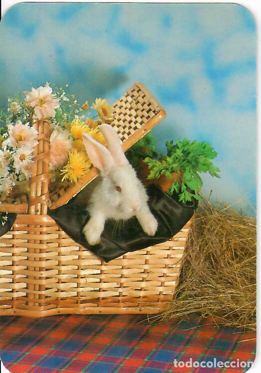 Collectionnisme Calendriers: CALENDARIO DE SERIE - A&Ntilde;O 2000 - EDIJAR