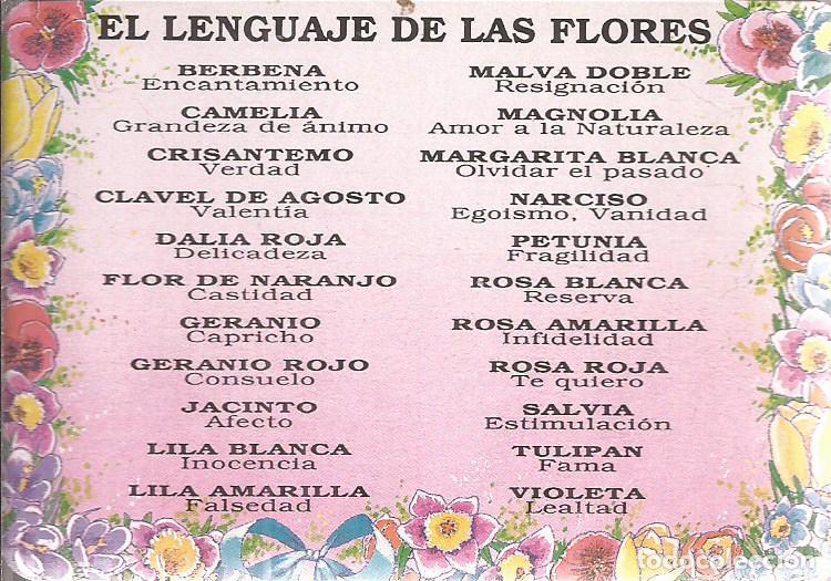 Collectables Calendars: CALENDARIO SERIE A&Ntilde;O 1993 SERIE M.C. N&ordm; 66