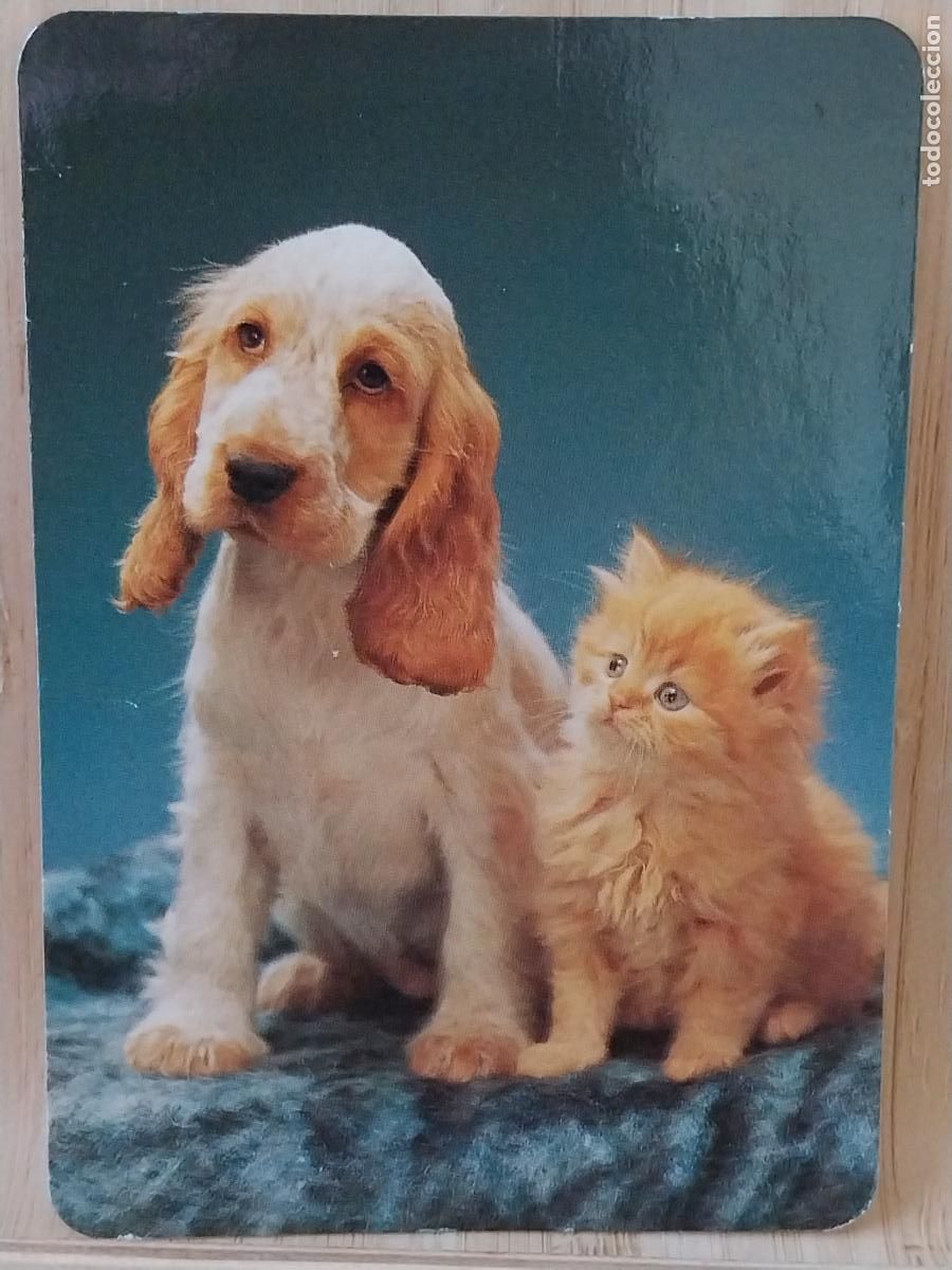 Coleccionismo Calendarios: GATO PERRO CACHORROS CALENDARIO A&Ntilde;O 1996 PUBLI *** OROPENDOLA PAJARERIA *** REF L 31