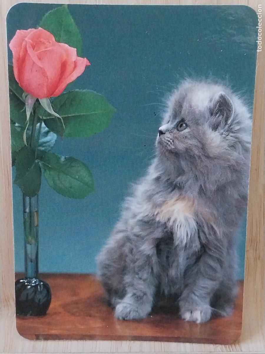 Sammeln von Kalendern: GATITO CACHORRO CALENDARIO A&Ntilde;O 1995 PUBLI *** BAR PEREA C PICAZA *** REF MC 2