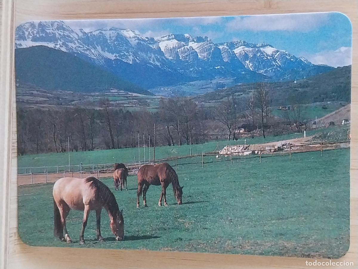 Coleccionismo Calendarios: CABALLOS MONTA&Ntilde;AS CALENDARIO A&Ntilde;O 1994 PUBLI *** BAR PACHANGA *** REF RR 44