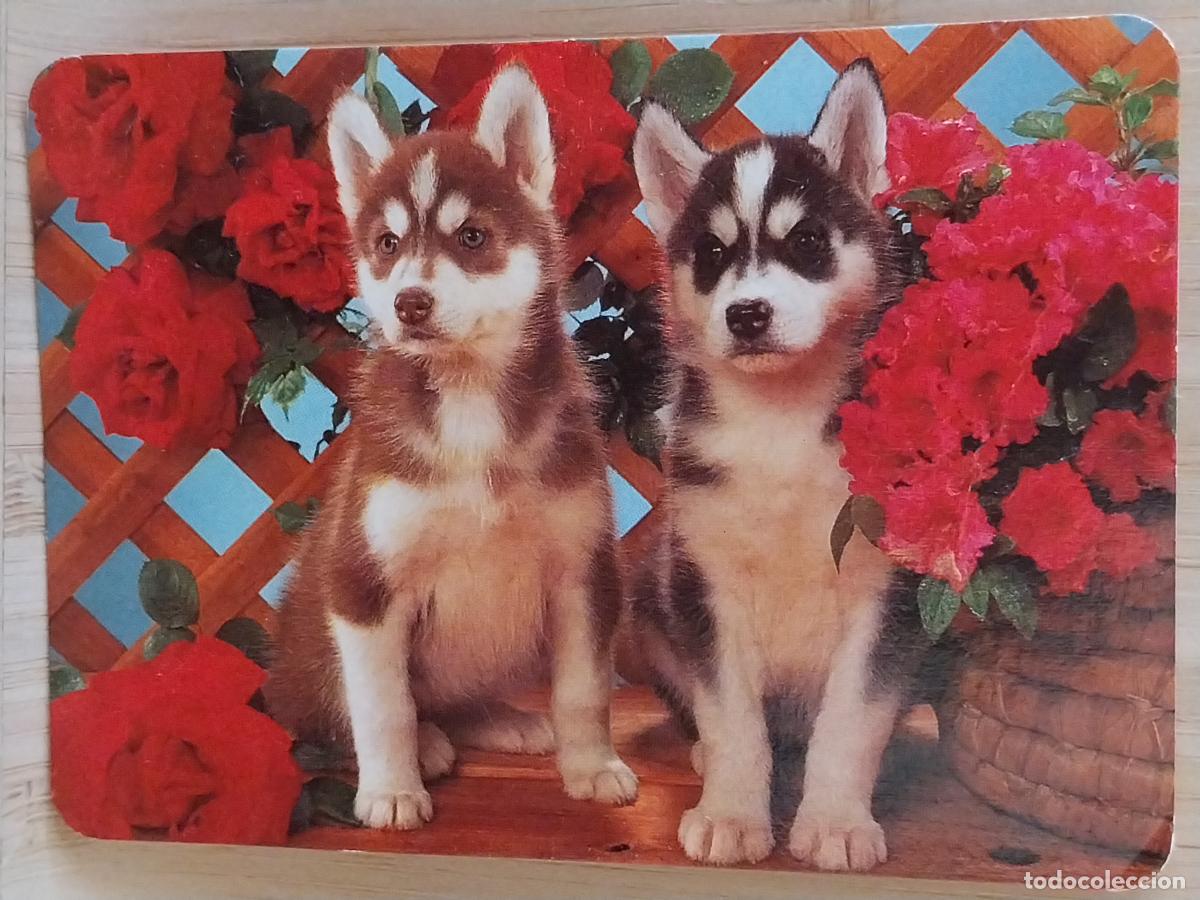 Colecionismo Calend&aacute;rios: CACHORRITOS PERROS CALENDARIO A&Ntilde;O 1992 PUBLI *** TIEMLO AVILA REGALOS NAVAS *** REF BO 5605