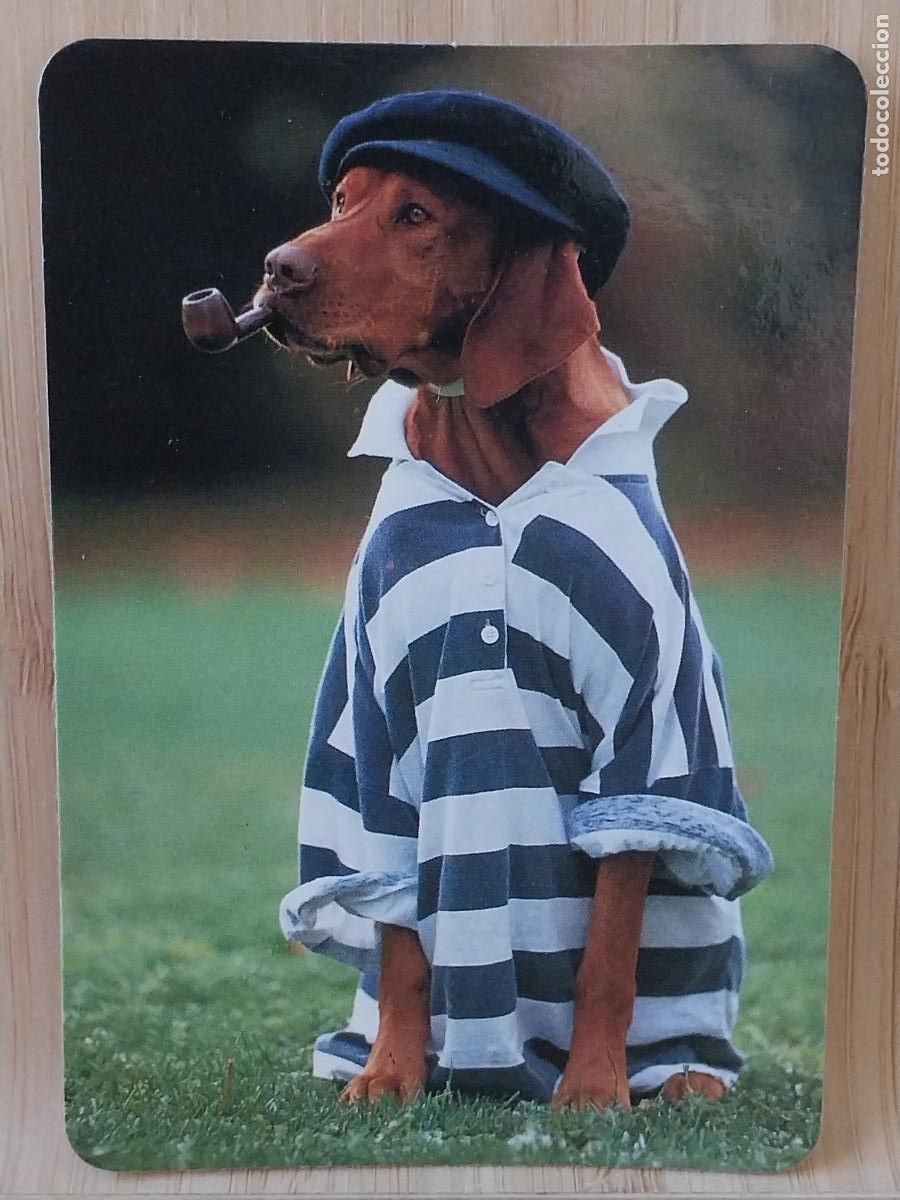 Coleccionismo Calendarios: PERRO MARINO CALENDARIO A&Ntilde;O 1994 PUBLI *** BAR YOLI PARLA *** REF MC 5