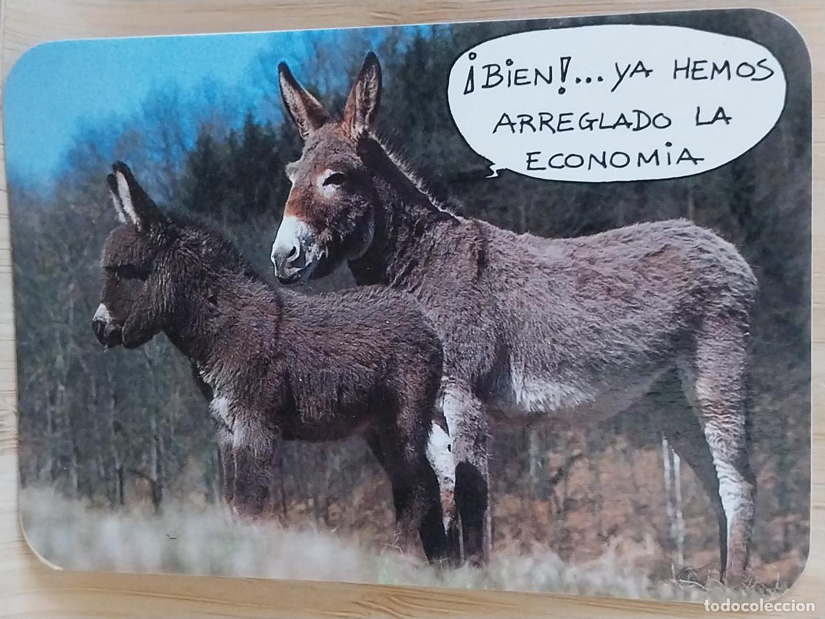 Coleccionismo Calendarios: BURROS HUMOR CALENDARIO A&Ntilde;O 1991 PUBLI *** VIDEO CLUB GADOVI *** REF CLB 2306
