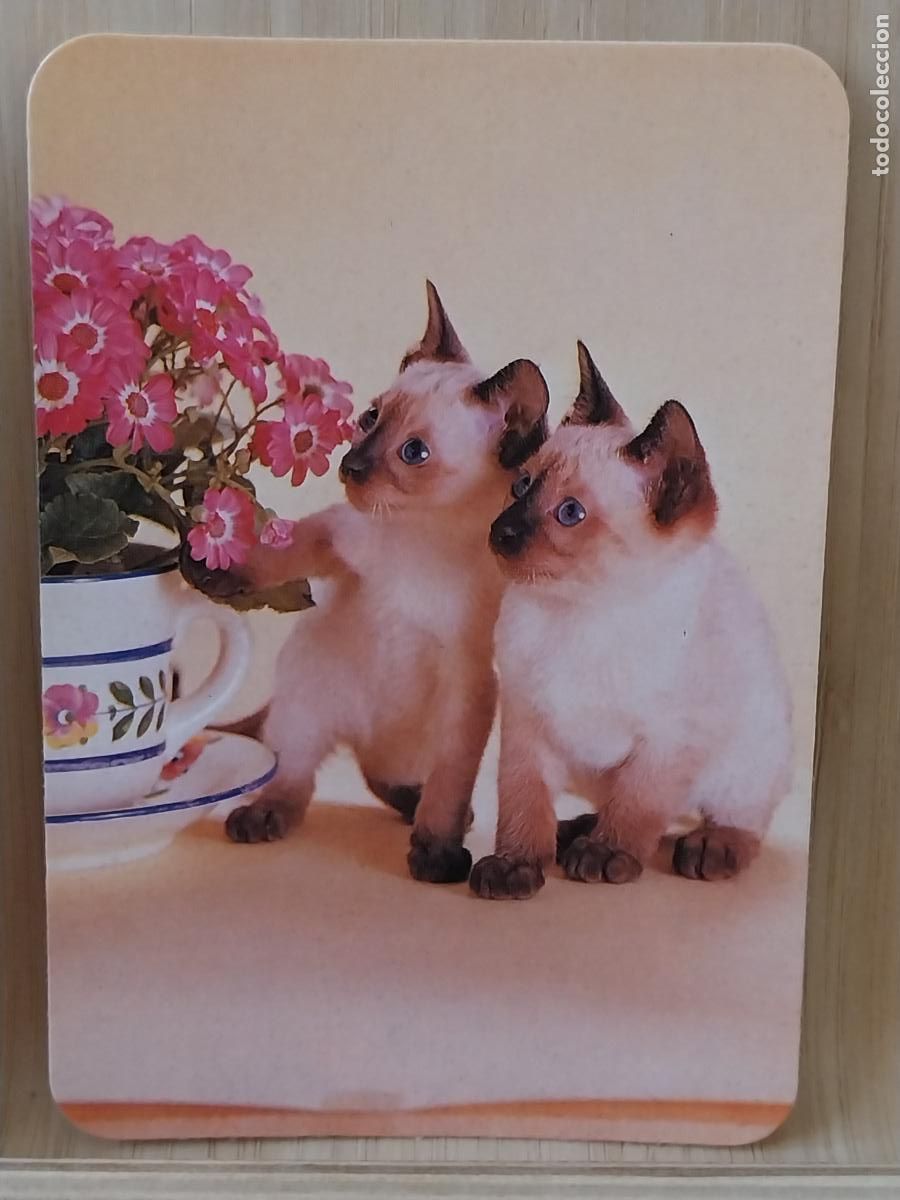 Collectionnisme Calendriers: GATITOS CACHORROS CALENDARIO A&Ntilde;O 1991 PUBLI *** FOTOCOPIAS IMAGEN *** REF WCB 73