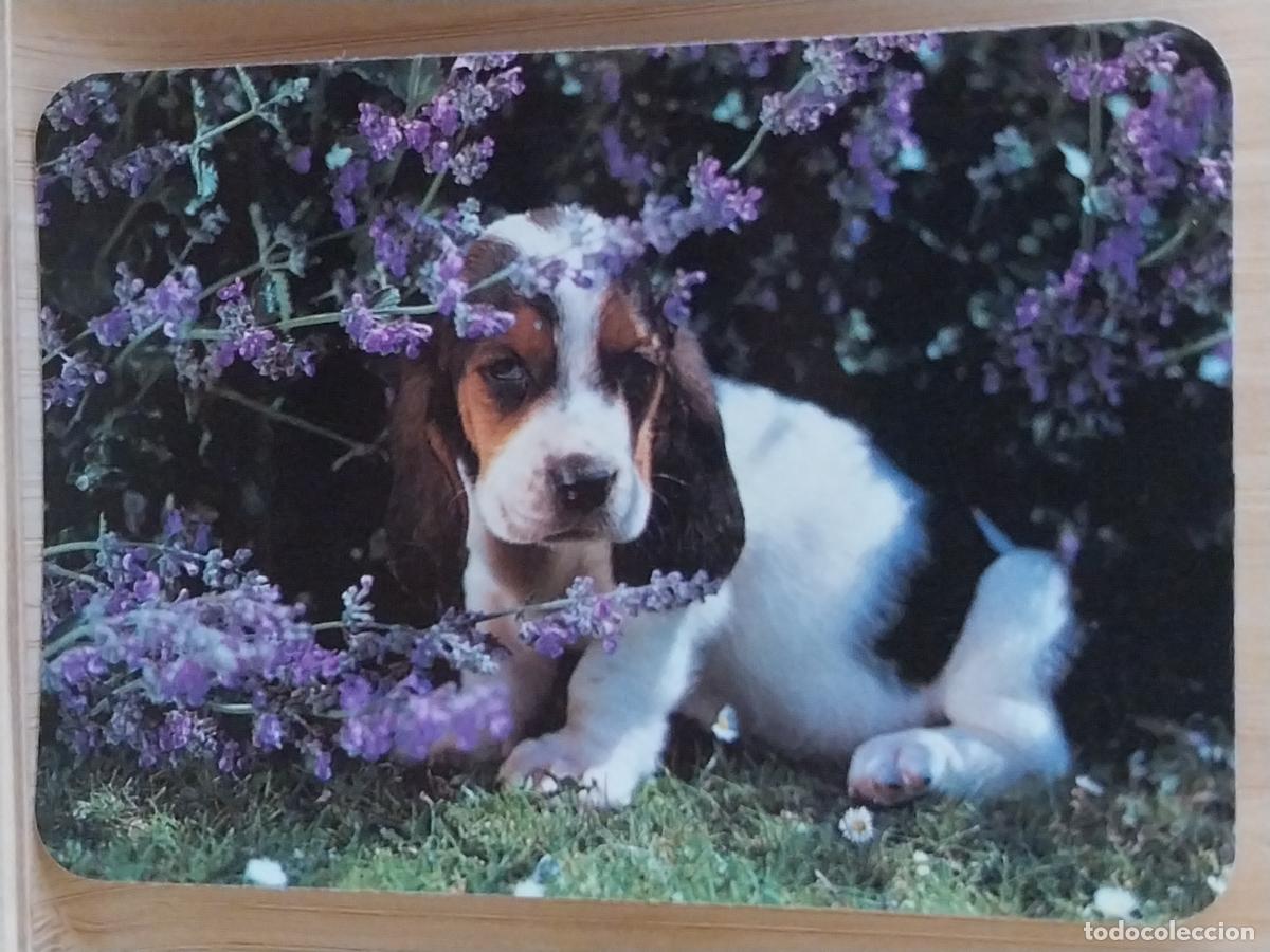 Collectionnisme Calendriers: BEAGLE CACHORROS CALENDARIO A&Ntilde;O 1991 PUBLI *** FOTOCOPIAS IMAGEN *** REF WCB 120