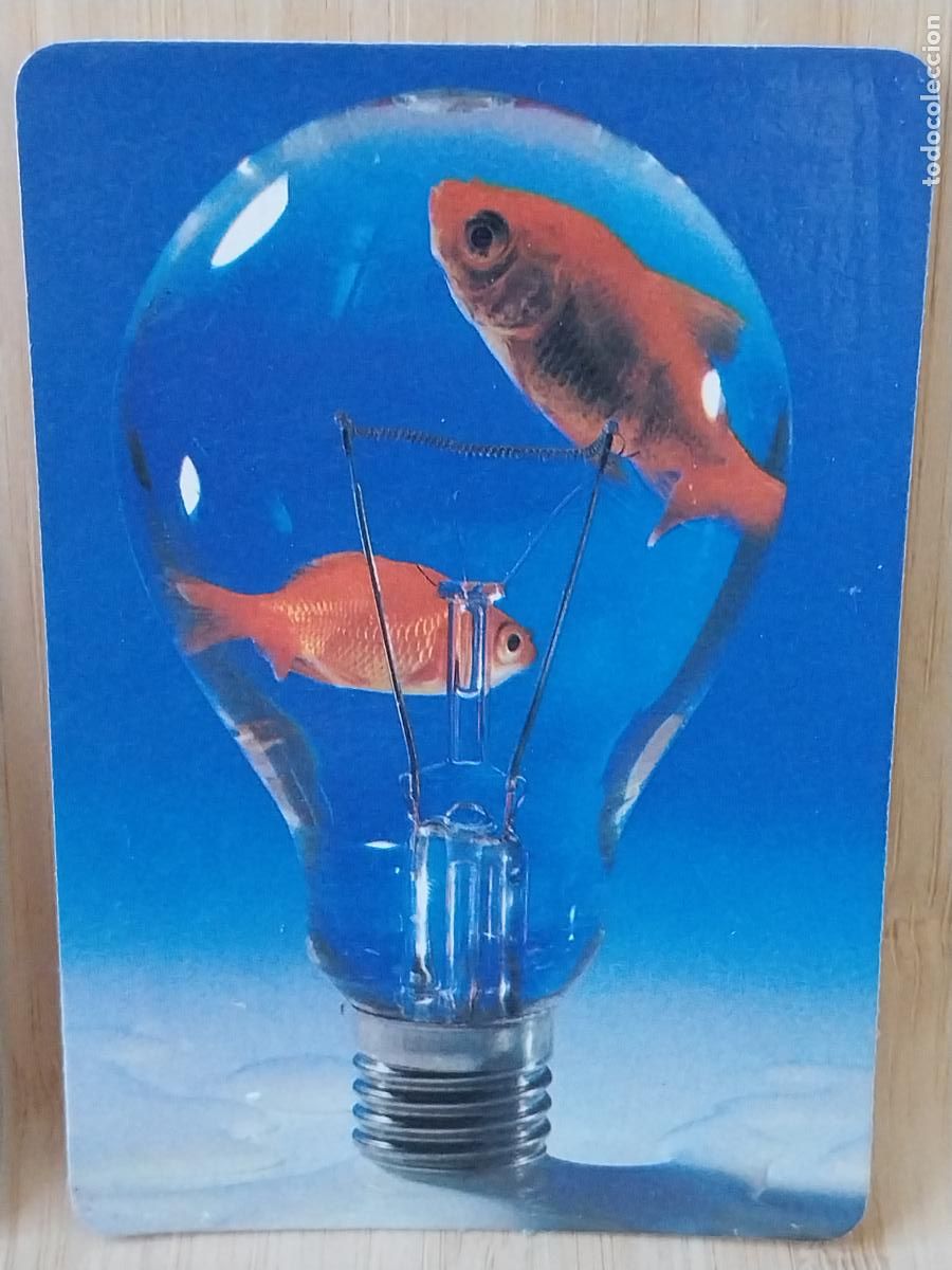Collezionismo Calendari: PECES COLORES BOMBILLA CALENDARIO A&Ntilde;O 1990 PUBLI *** BAR BIARRITZ *** REF MP 5