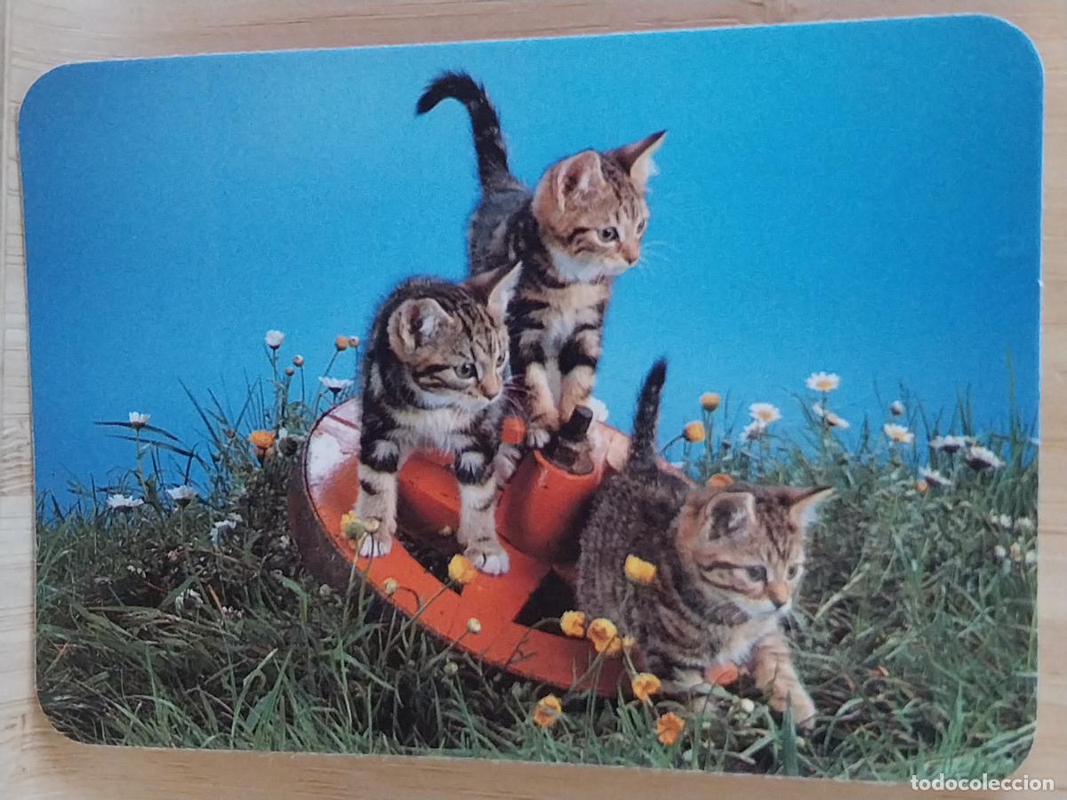 Coleccionismo Calendarios: CACHORROS GATITOS CALENDARIO A&Ntilde;O 1990 PUBLI *** CHINO BOSQUE CIRUELAS *** REF CB 428