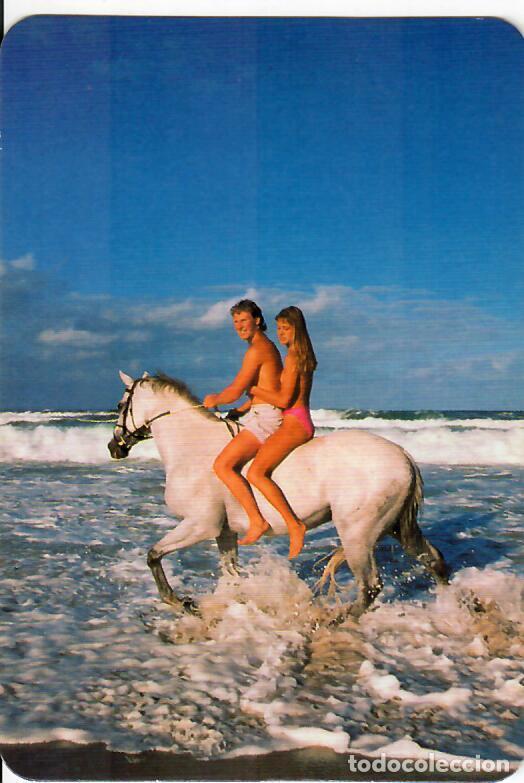 Coleccionismo Calendarios: CALENDARIO DE SERIE - A&Ntilde;O 2000 - EGC 12 - Publicidad de Santander