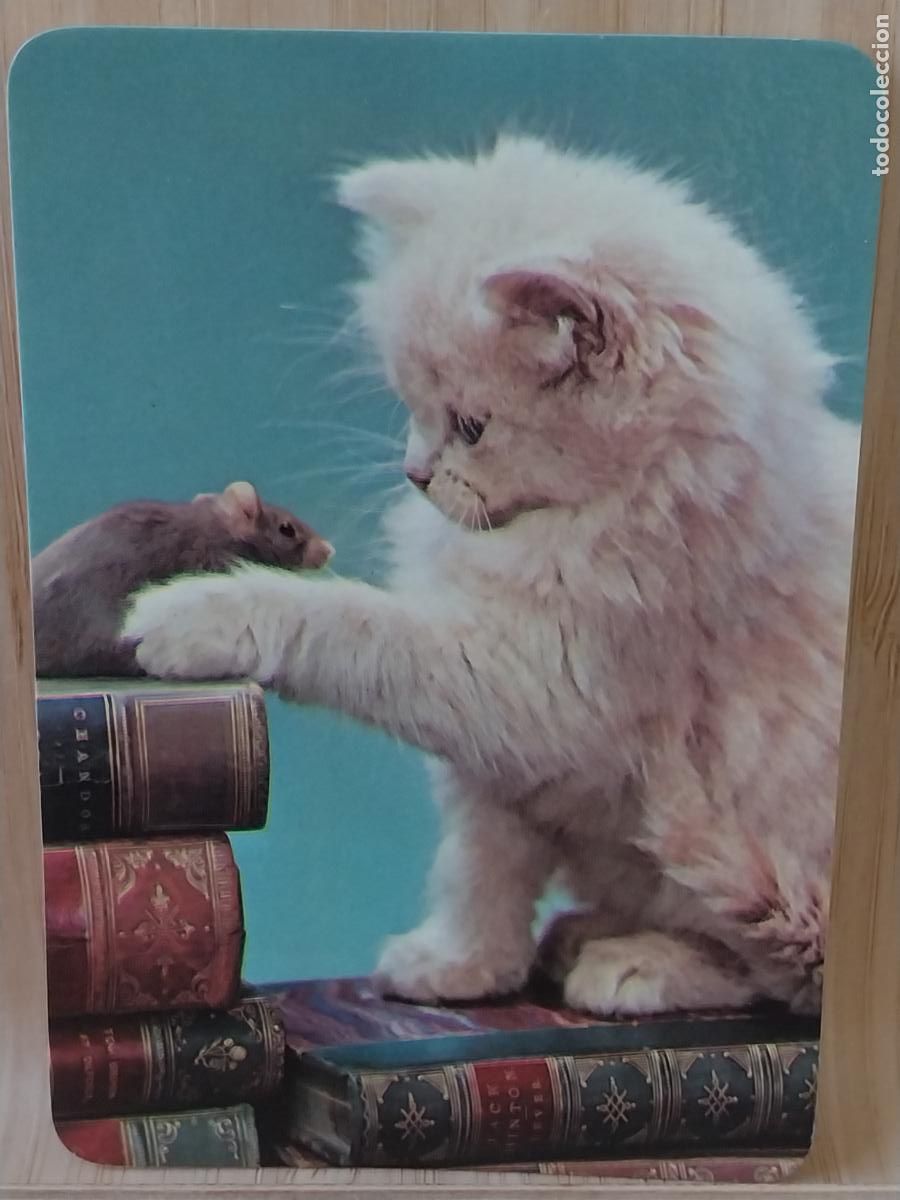 Coleccionismo Calendarios: GATO RATON CALENDARIO A&Ntilde;O 1990 PUBLI *** VIDEO CLUB GADOVI *** REF CLB 2021