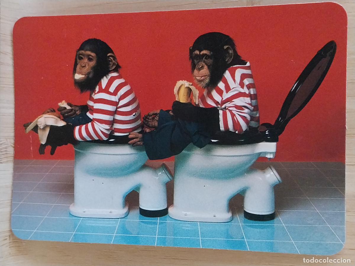 Coleccionismo Calendarios: CHIMPANCES WC CALENDARIO A&Ntilde;O 1994 PUBLI *** BAR PACHANGA *** REF MC 37