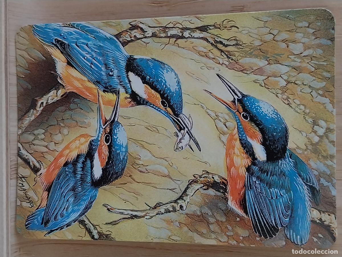 Coleccionismo Calendarios: AVES CALENDARIO A&Ntilde;O 1997 PUBLI *** OROPENDOLA PAJARERIA *** REF L 250