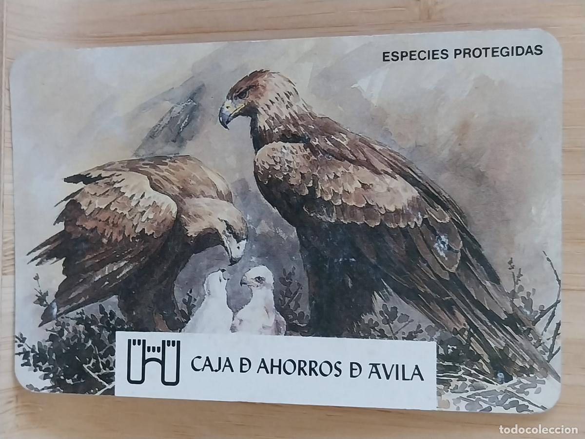 Coleccionismo Calendarios: FOURNIER CAJA AHORROS AVILA CALENDARIO A&Ntilde;O 1993 PUBLI *** BANCA *** ESPECIES PROTEGIDAS