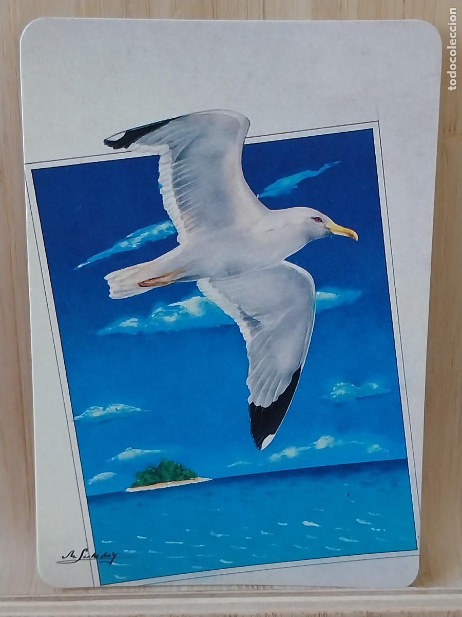 Coleccionismo Calendarios: GAVIOTA ILUSTRACION CALENDARIO A&Ntilde;O 1998 PUBLI *** PAJARERIA OROPENDOLA *** REF L 250