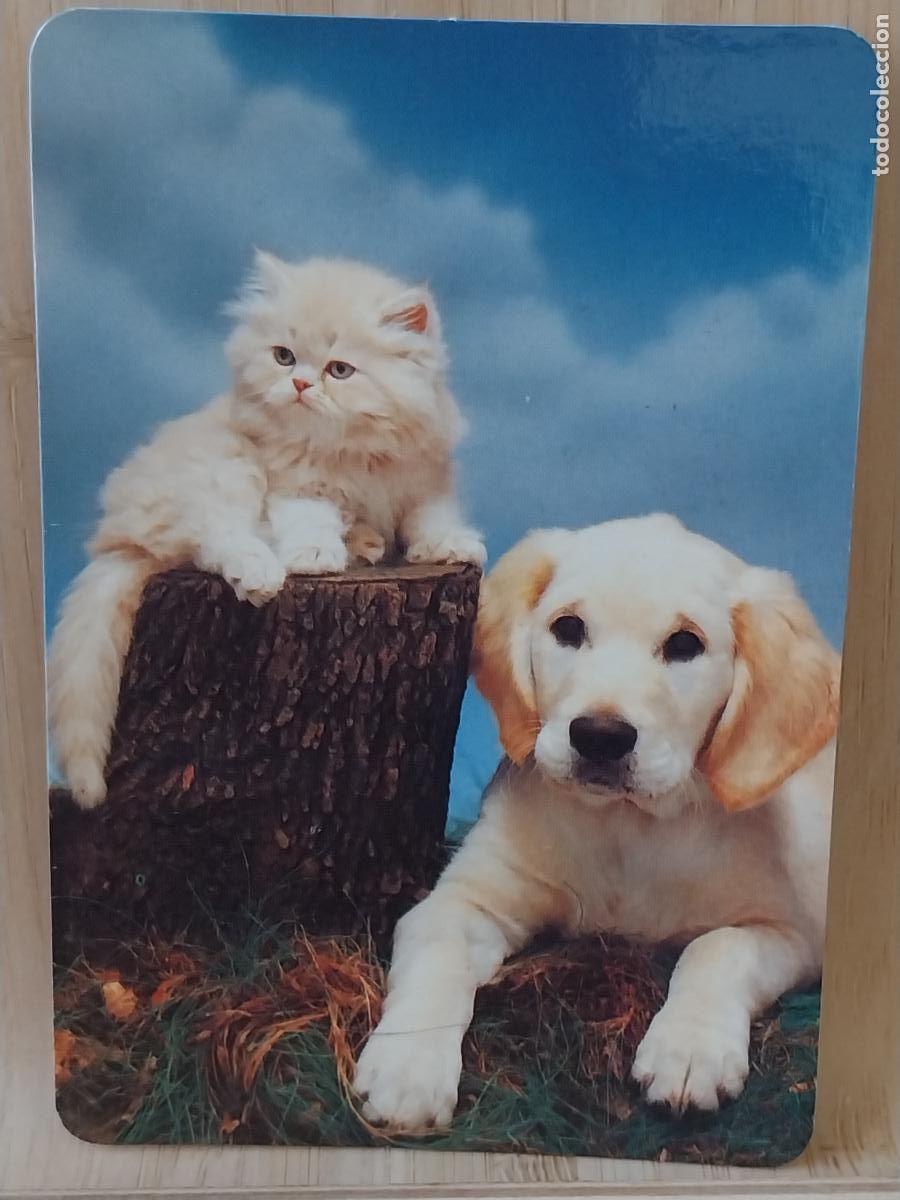 Coleccionismo Calendarios: CACHORROS GATO PERRO CALENDARIO A&Ntilde;O 1997 PUBLI *** BLAUPUNKT *** REF L 144