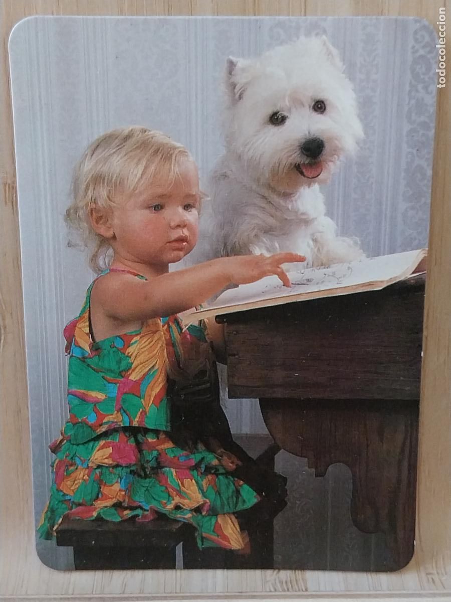 Coleccionismo Calendarios: NI&Ntilde;A PERRO CALENDARIO A&Ntilde;O 1997 PUBLI *** BAR PACHANGA *** REF BO 561
