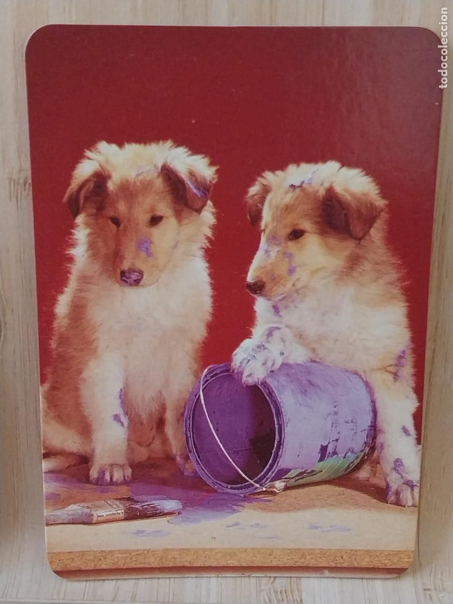 Coleccionismo Calendarios: PERRITOS CACHORROS CALENDARIO A&Ntilde;O 1998 PUBLI *** DECO DONOSTIARRA *** REF GD 5