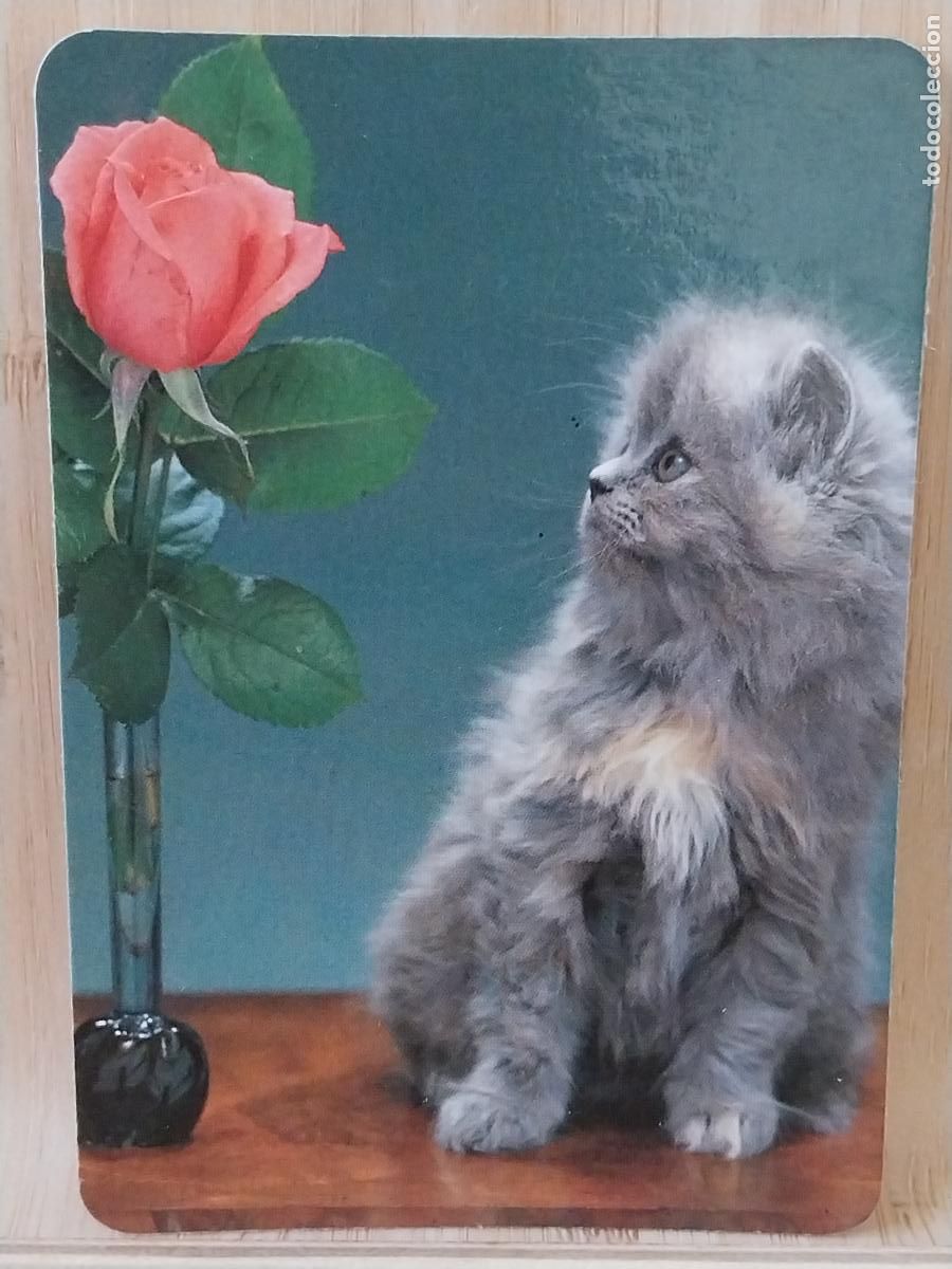 Coleccionismo Calendarios: GATO CACHORRO ROSA CALENDARIO A&Ntilde;O 1995 PUBLI *** BAR PEREA *** REF MC 2