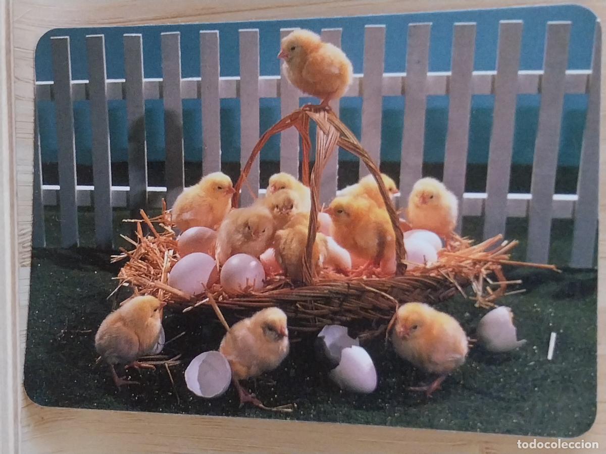 Coleccionismo Calendarios: POLLITOS CASCARONES CESTA CALENDARIO A&Ntilde;O 1995 PUBLI *** CADENA BAZAR CANARIAS *** REF MC 1