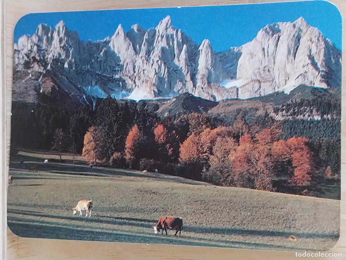Colecionismo Calend&aacute;rios: VACAS MONTA&Ntilde;AS NEVADAS CALENDARIO A&Ntilde;O 1990 PUBLI *** LAVADO ESTATUTO *** REF CB 336