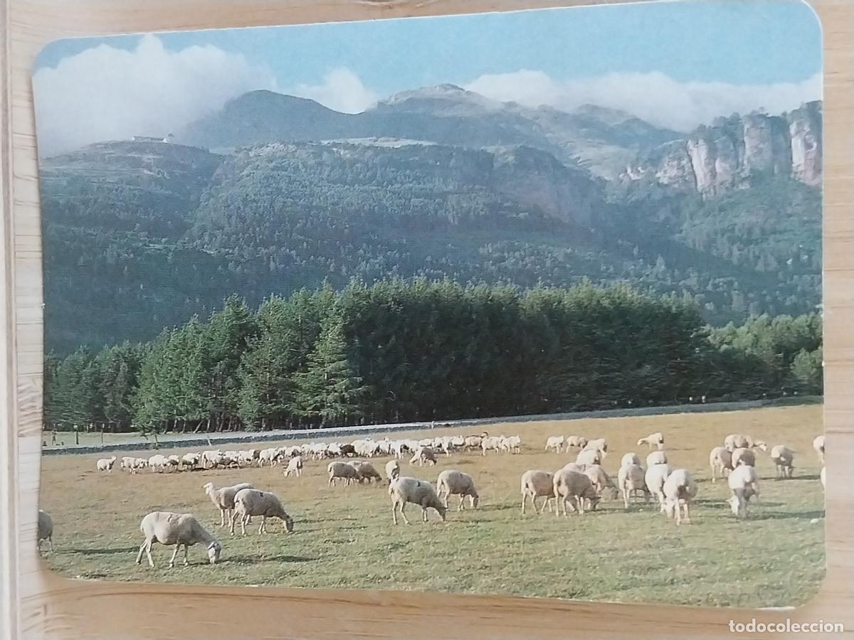 Collectionnisme Calendriers: PAISAJE OVEJAS MONTA&Ntilde;AS CALENDARIO A&Ntilde;O 1990 PUBLI *** CAFETERIA CASTILLA LEON *** REF CB 336