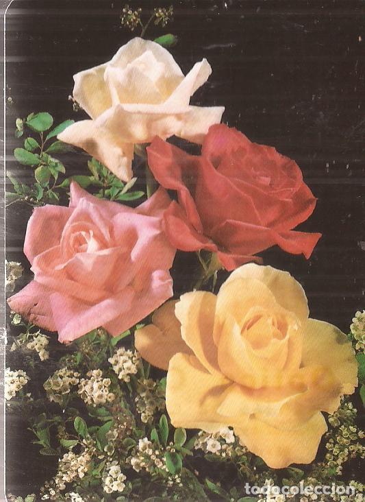 Coleccionismo Calendarios: CALENDARIO SERIE A&Ntilde;O 1992 SERIE B.O. N&ordm; 5616
