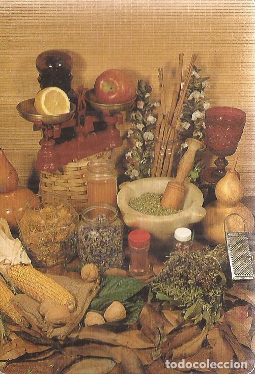 Sammeln von Kalendern: CALENDARIO SERIE A&Ntilde;O 1992 SERIE M.P. N&ordm; 18