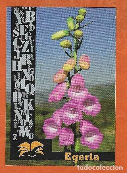 Coleccionismo Calendarios: CALENDARIO DE BOLSILLO A&Ntilde;O 2010 FLORA - FLORES - CALENDARIO LIT&Uacute;RGICO - VER FOTO REVERSO
