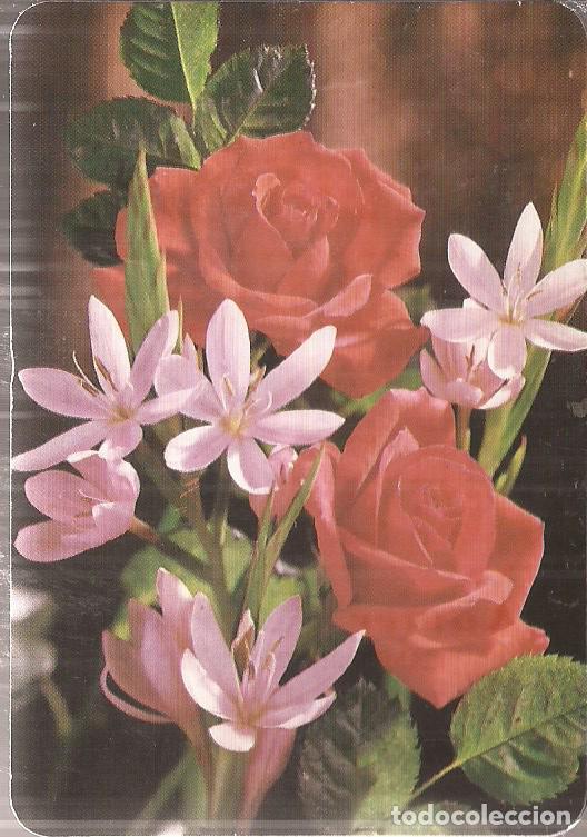 Coleccionismo Calendarios: CALENDARIO SERIE A&Ntilde;O 1992 SERIE D.L.B. 24XXX N&ordm; 117