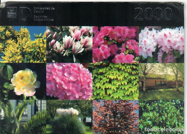 Coleccionismo Calendarios: CALENDARIO DE PUBLICIDAD - A&Ntilde;O 2000 - UNIVERSIDAD DE DEUSTO