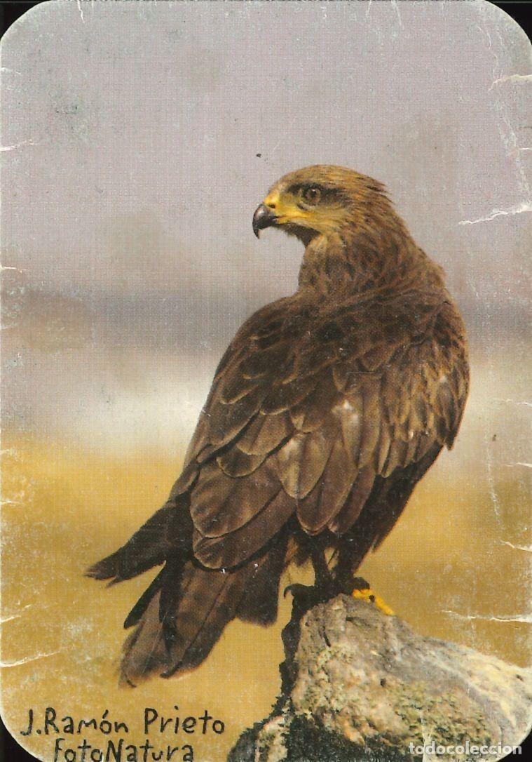 Coleccionismo Calendarios: CALENDARIO PUBLICIDAD - FOTO NATURA (AVILA) - A&Ntilde;O 2007