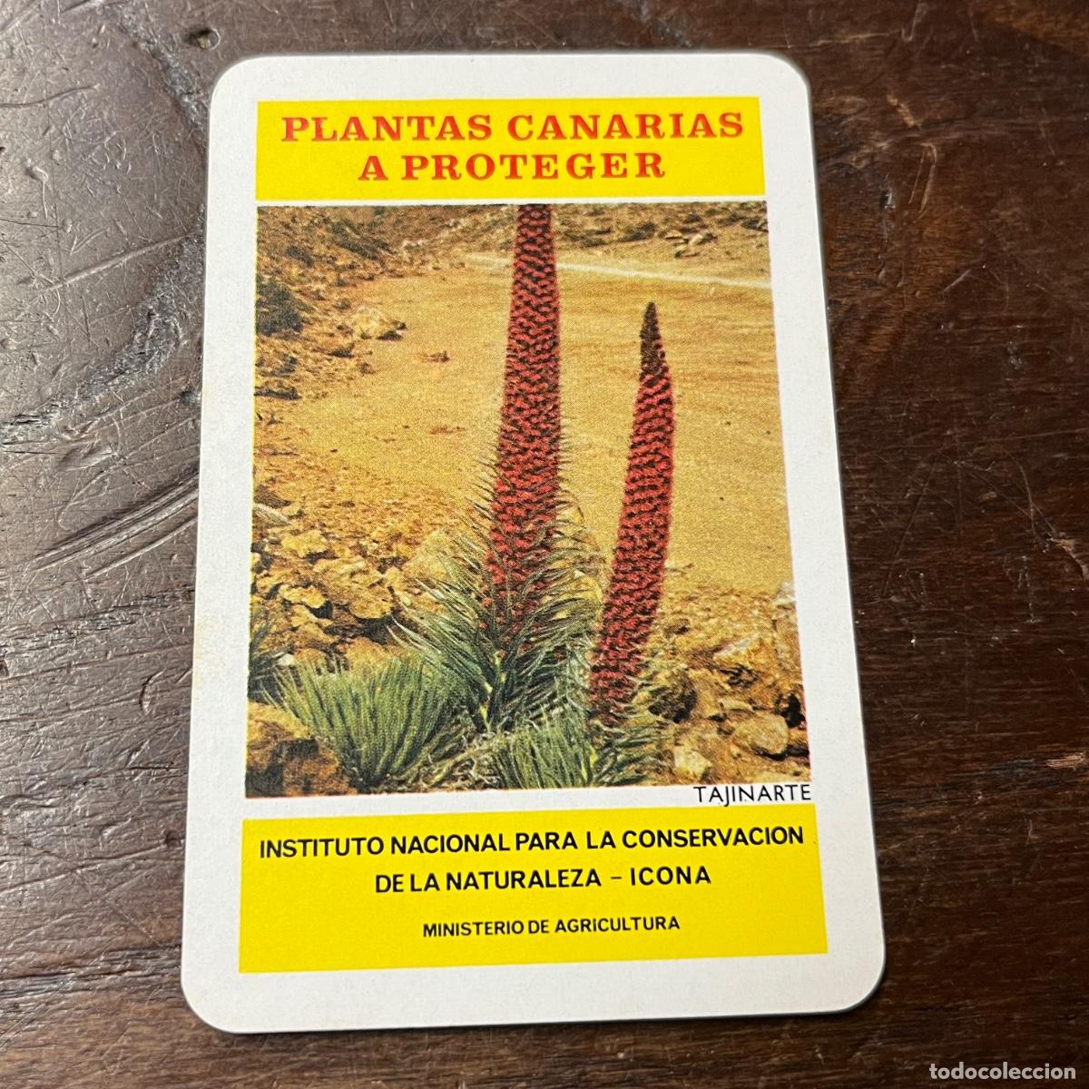 Coleccionismo Calendarios: Calendario de Fournier del a&ntilde;o 1974, plantas canarias a proteger - Icona
