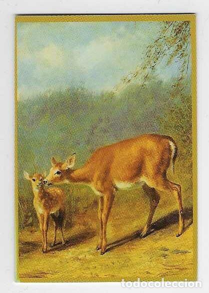 Coleccionismo Calendarios: CALENDARIO DE BOLSILLO A&Ntilde;O 2005 FAUNA / PINTURA - CIERVA Y CERVATILLA - VER FOTO REVERSO