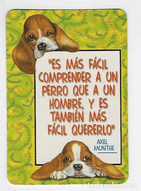 Coleccionismo Calendarios: CALENDARIO DE BOLSILLO A&Ntilde;O 2003 PERROS - FRASE - VER FOTO REVERSO