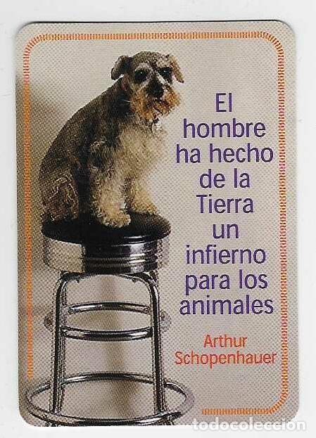 Coleccionismo Calendarios: CALENDARIO DE BOLSILLO A&Ntilde;O 2001 PERRO - FRASE - SIN PUBLICIDAD - VER FOTO REVERSO