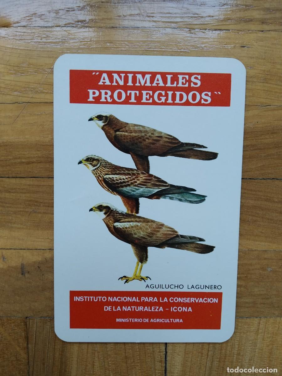 Coleccionismo Calendarios: CALENDARIO FOURNIER ICONA ANIMALES PROTEGIDOS AGUILUCHO LAGUNERO A&Ntilde;O 1975 VER FOTOS NUEVO