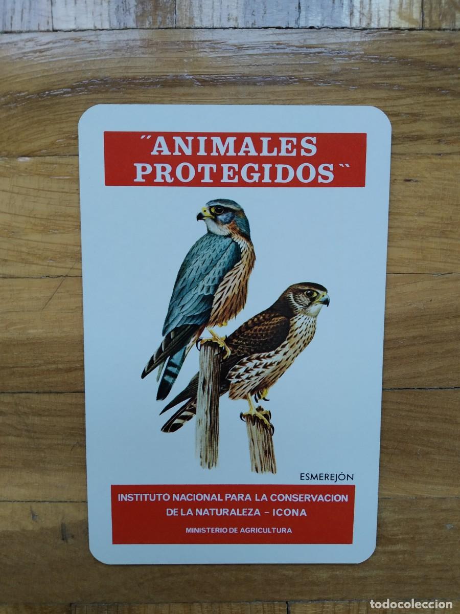 Coleccionismo Calendarios: CALENDARIO FOURNIER ICONA ANIMALES PROTEGIDOS ESMEREJON A&Ntilde;O 1975 VER FOTOS NUEVO