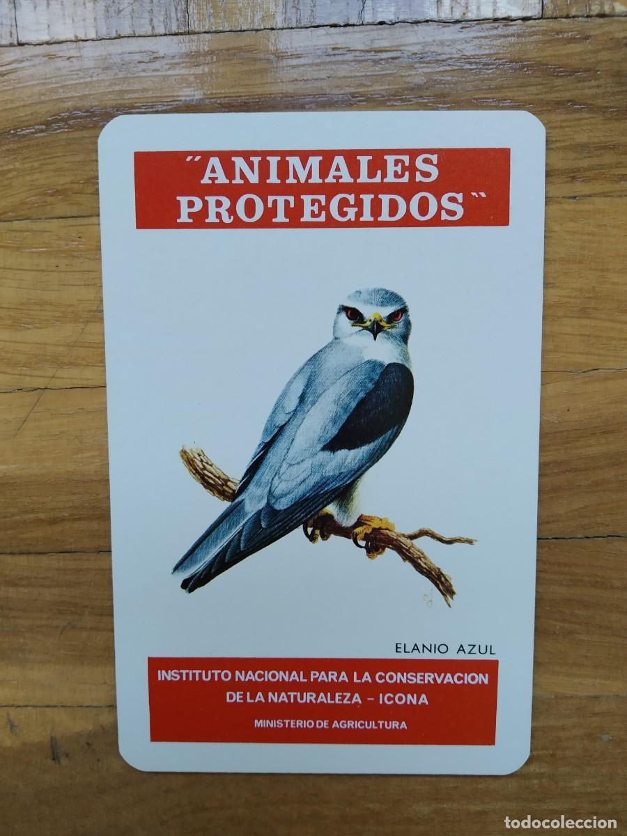 Collectionnisme Calendriers: CALENDARIO FOURNIER ICONA ANIMALES PROTEGIDOS ELANIO AZUL A&Ntilde;O 1975 VER FOTOS NUEVO