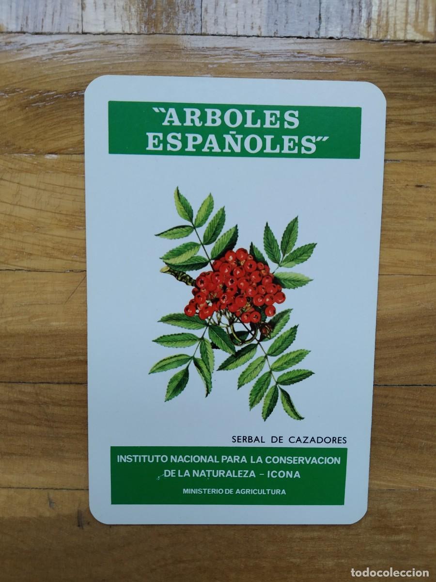Collectionnisme Calendriers: CALENDARIO FOURNIER ICONA ARBOLES ESPA&Ntilde;OLES SERBAL DE CAZADORES A&Ntilde;O 1975 VER FOTOS NUEVO