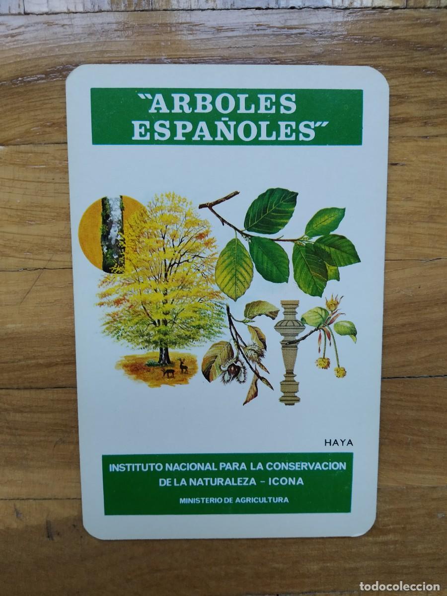 Coleccionismo Calendarios: CALENDARIO FOURNIER ICONA ARBOLES ESPA&Ntilde;OLES HAYA A&Ntilde;O 1976 VER FOTOS NUEVO