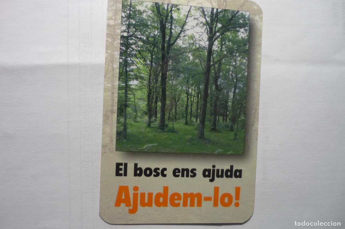 Coleccionismo Calendarios: calendario catalan fecsa 1998